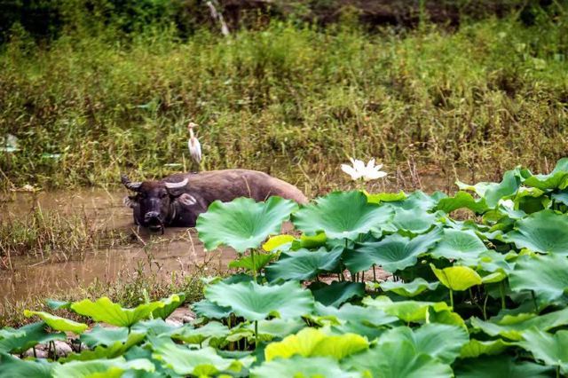 世外桃源风景区