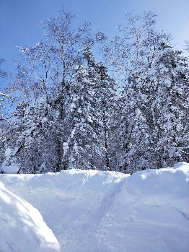 雪乡大宝滑雪场