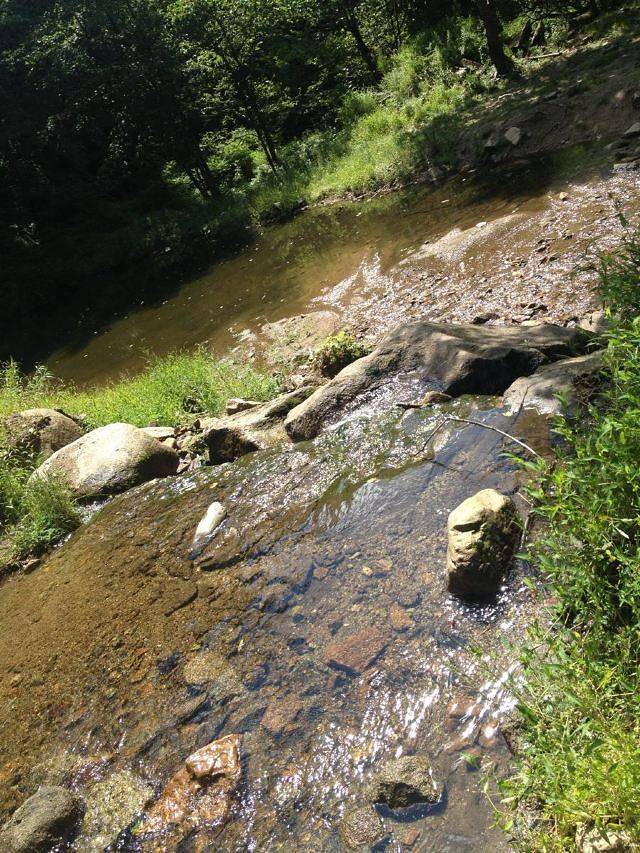 小东沟原始森林