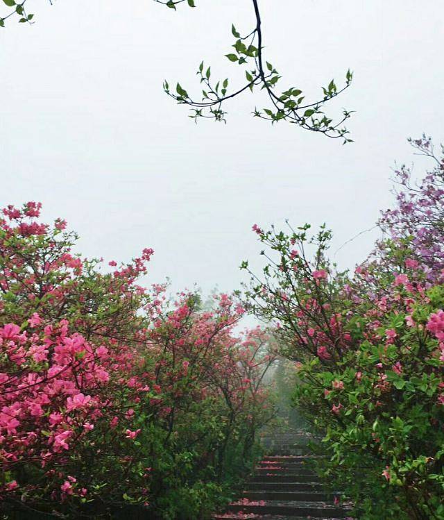 英山县天马寨风景区