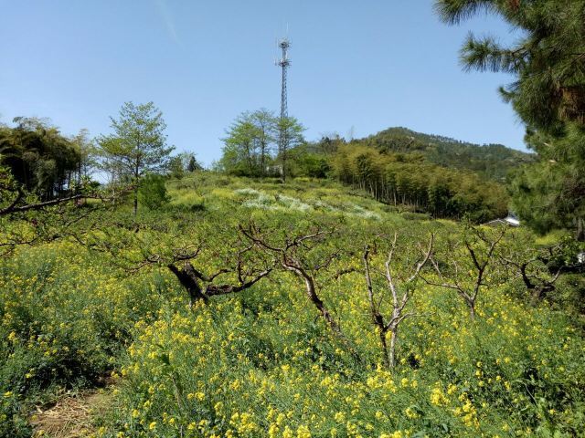 长兴城山沟景区