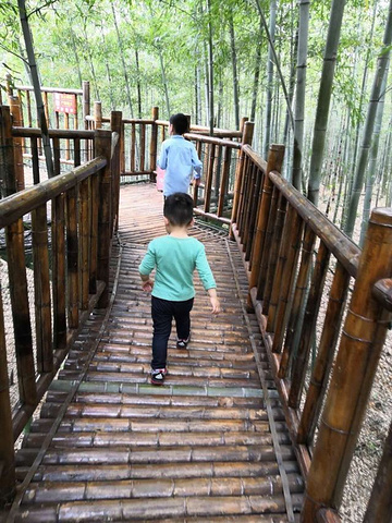 一步一景洞里怪石峥嵘奇伟美人屋似乎还留着西施的香味一路上流水潺潺