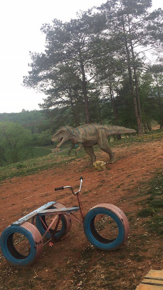 万紫千红植物园