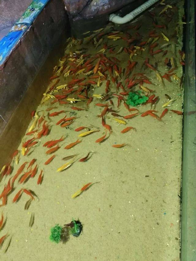 蚌埠海贝海洋乐园