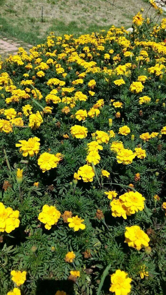 紫蒙湖主题乐园