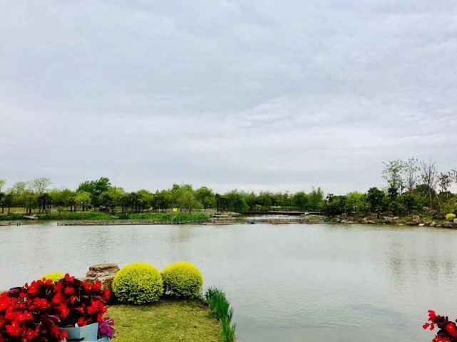 21横看成岭侧成峰 春夏秋冬各不同 花海永远都在变化 一步一景 一季一景 一年一景 美轮美奂 赏心悦目 周浦花海 评论 去哪儿攻略