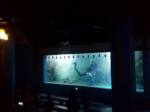 蚌埠海贝海洋乐园