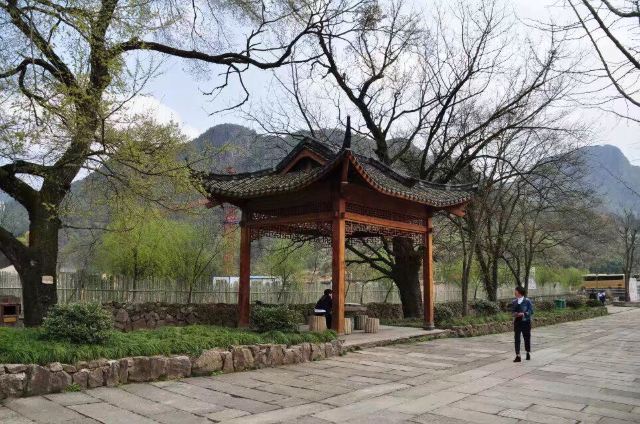 鸡冠山国家森林公园