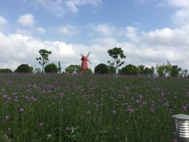 云梦方舟水上乐园