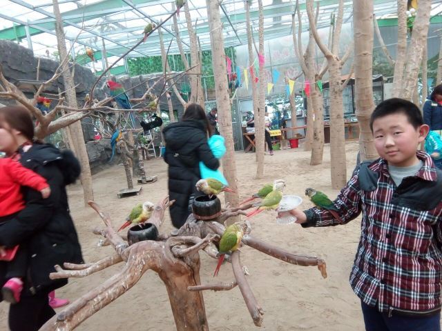 第五季龙水凤港生态农场