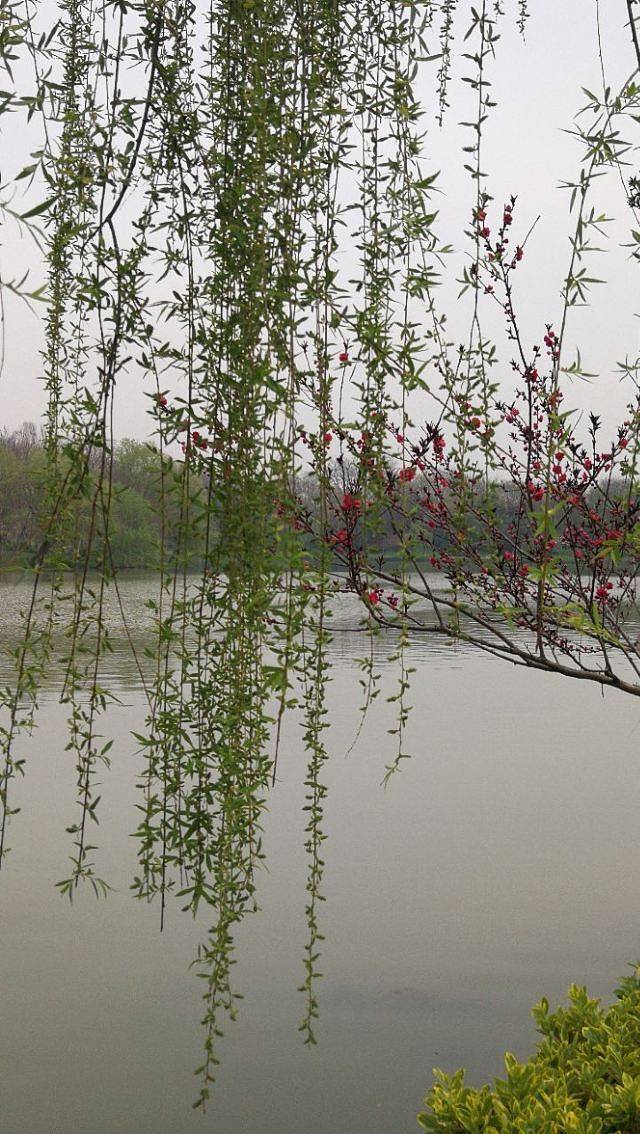 宋夹城考古遗址公园