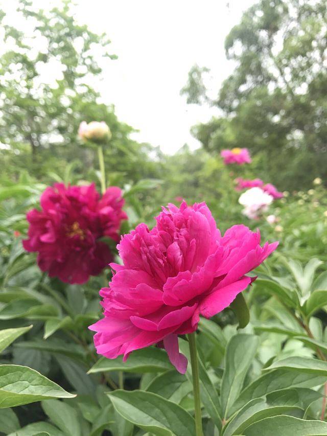 红山体育度假乐园