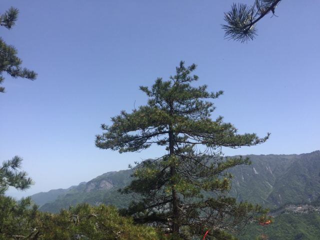 略阳五龙洞国家森林公园