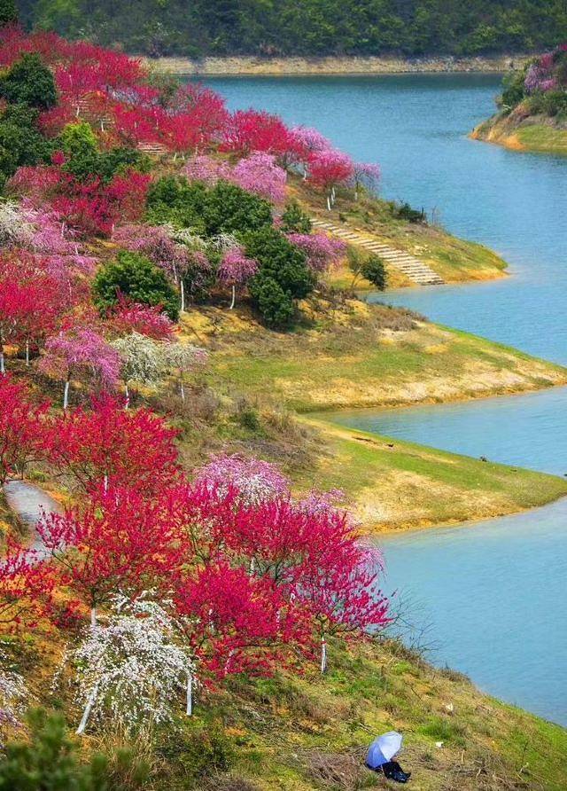 西海观湖岛景区