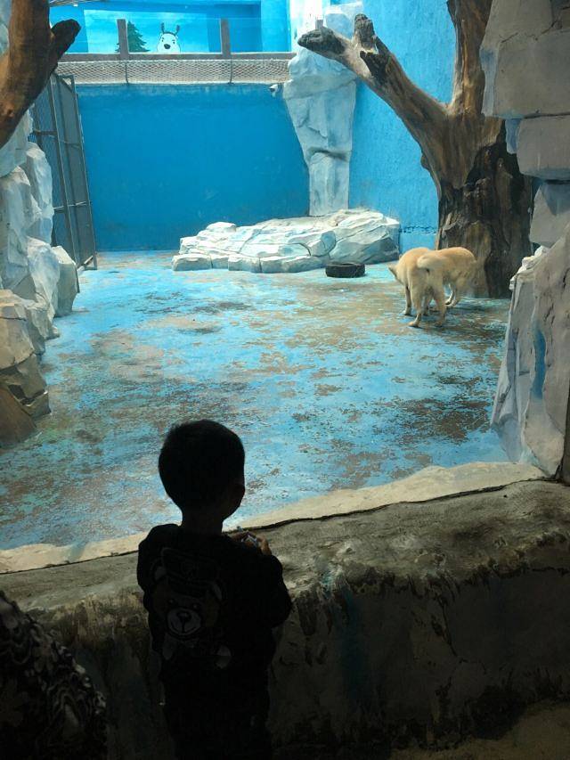 武夷传奇梦幻海乐园