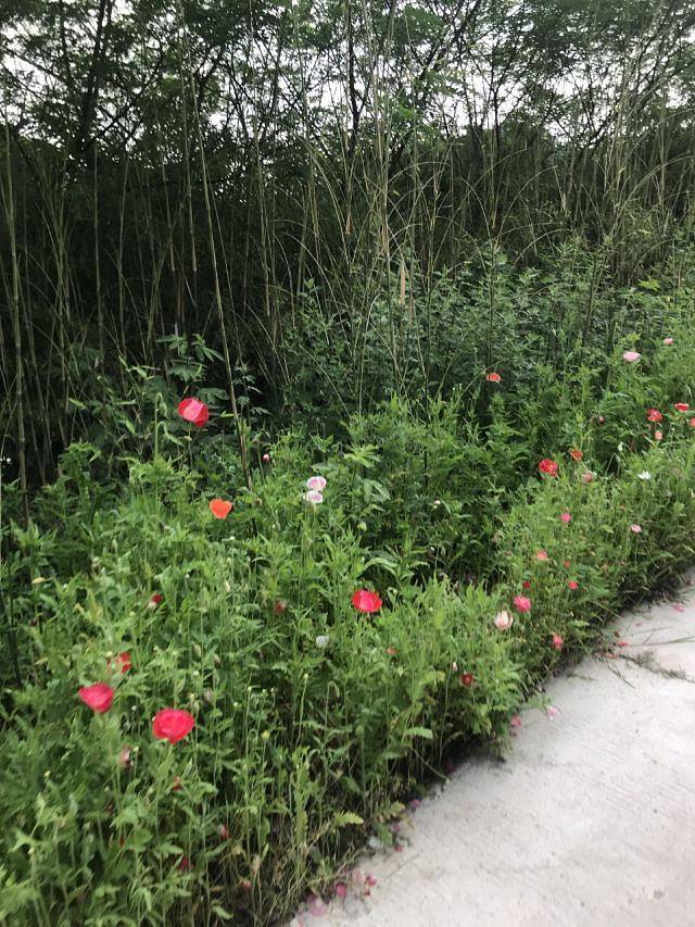 五谷地度假农场