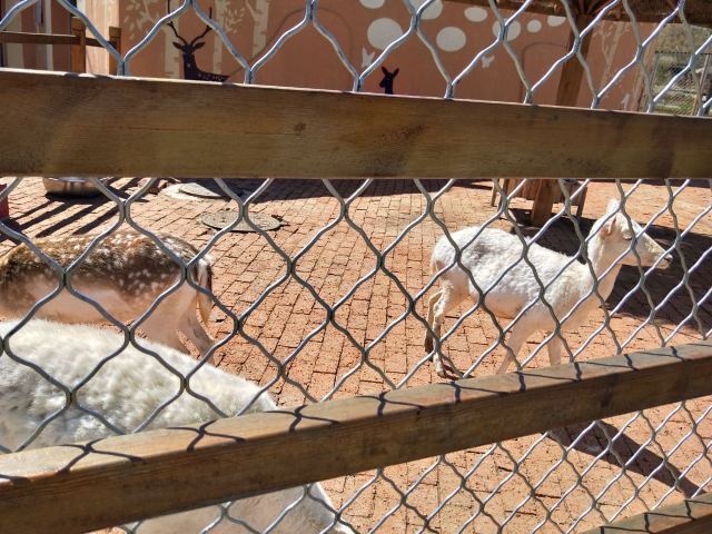 中国亚布力熊猫馆