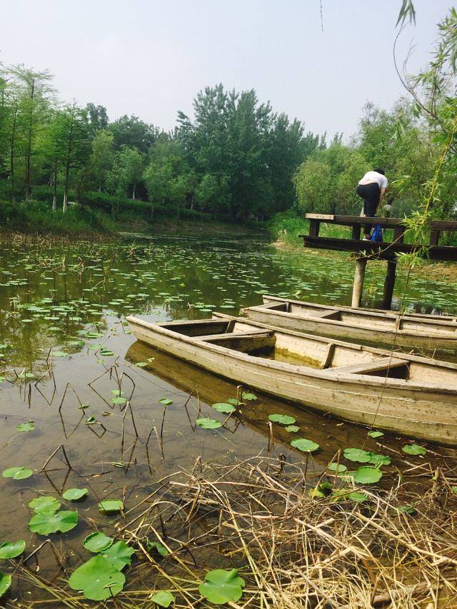 古淮河文化生态景区
