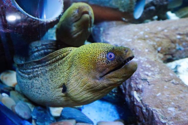 盐城海昌海洋探索馆