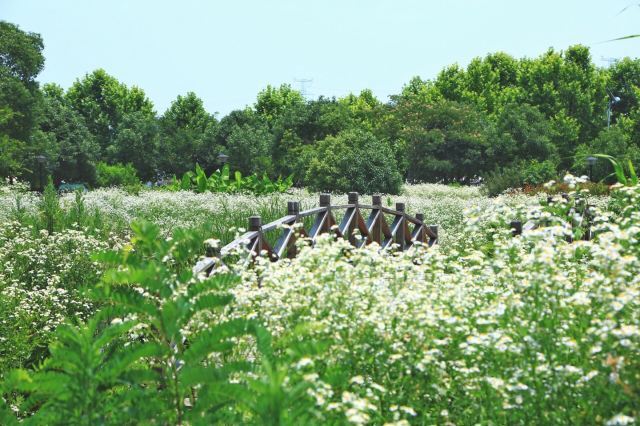 汤山翠谷现代农业示范园