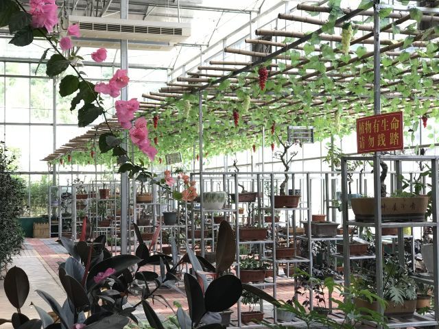 南江水上欢乐园