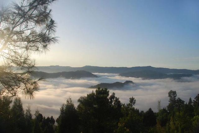 佛头山森林公园