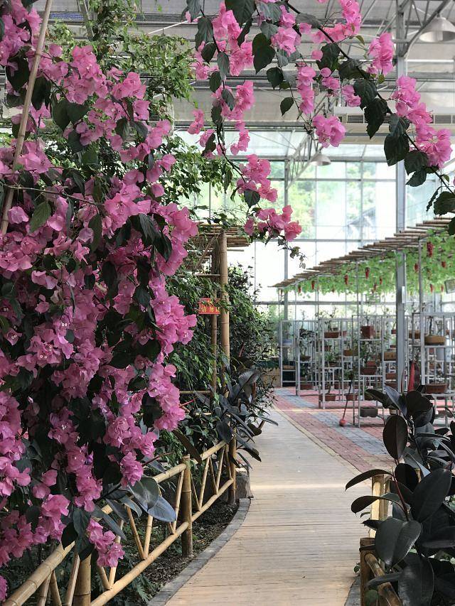 南江水上欢乐园