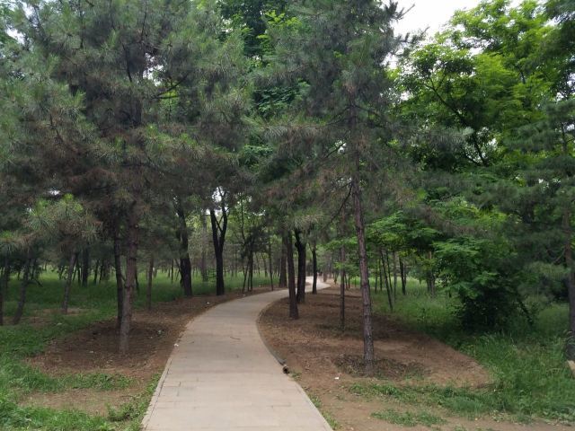 太原森林公园