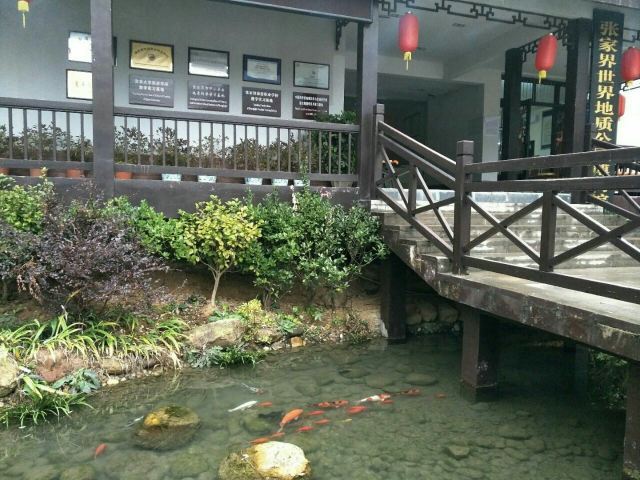 张家界世界地质公园博物馆