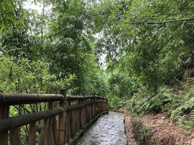沐川竹海旅游景区