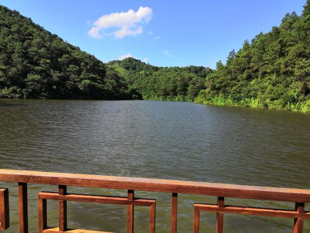 泰康山生态旅游区