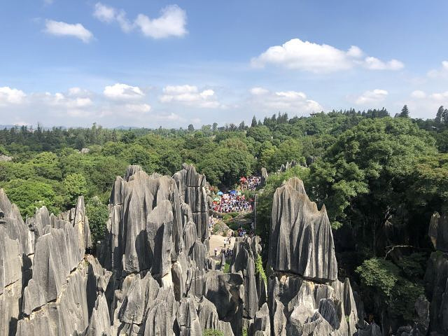 "_石林风景区"的评论图片