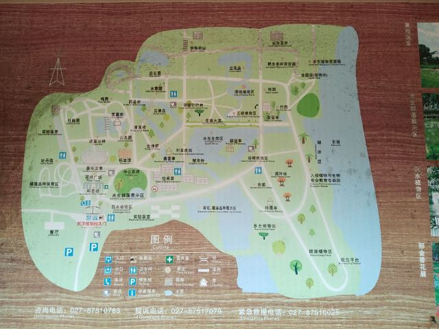 "_武汉植物园"的评论图片