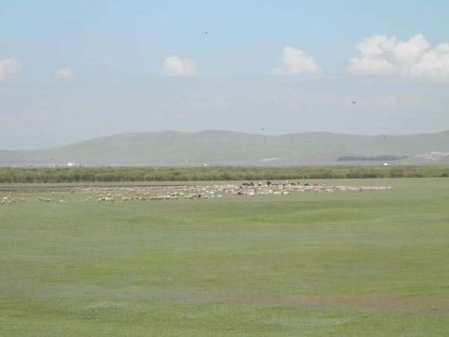 呼和诺尔草原旅游区