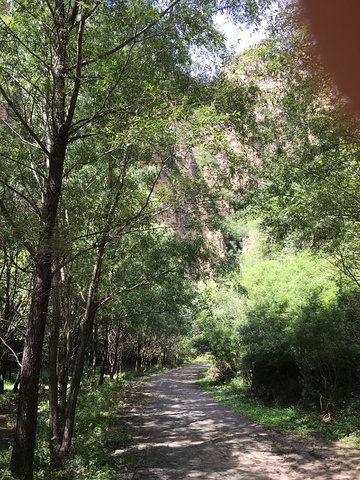 "景色不如京西十八潭，顺着一条小溪在峡谷中徒步，难度很小。总体上性价比一般。适合放松心情_龙门涧风景区"的评论图片