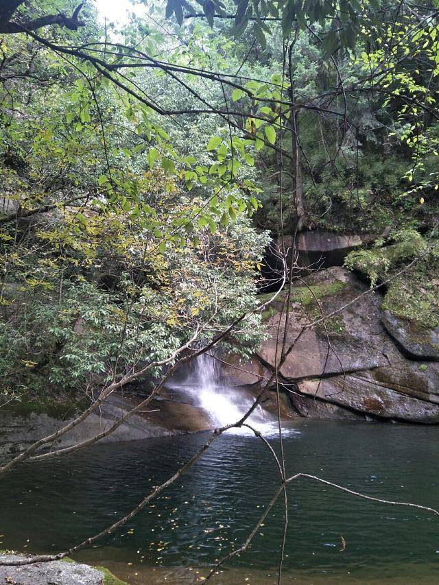 木王国家森林公园