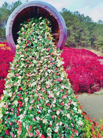 "五脑山森林公园，位于麻城，一般春节前后来这里游玩，以赏茶花为主_五脑山森林公园"的评论图片