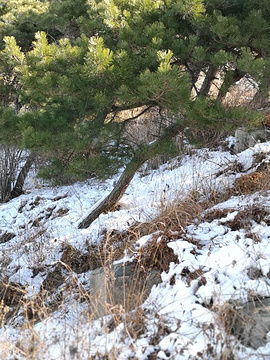 泰山风景区旅游景点攻略图