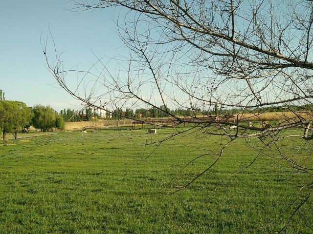 可克达拉旅游草原之夜风情园