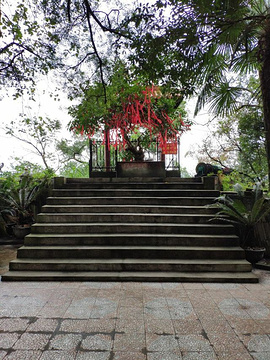 老子山旅游景点攻略图