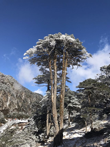 "下山后可以去天龙八部拍摄地看看，门票有包含的。然后仔看看我的可乐，只想说太可怕&#x20_洗马潭大索道"的评论图片