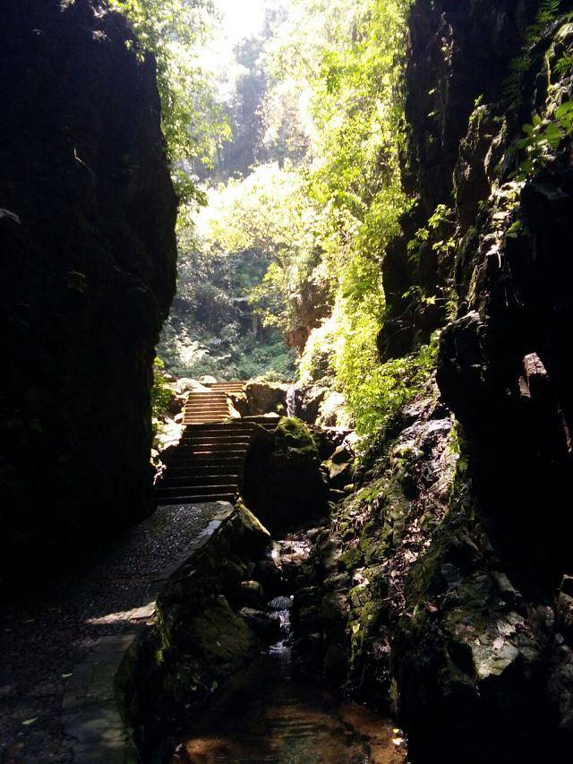 大桂山国家森林公园