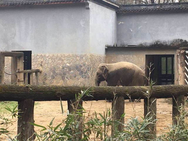 "_杭州动物园"的评论图片