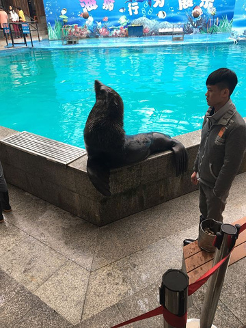 "_杭州动物园"的评论图片