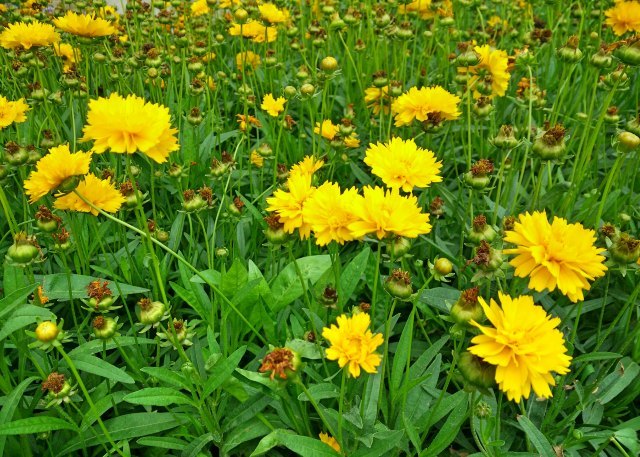 华夏未来儿童乐园