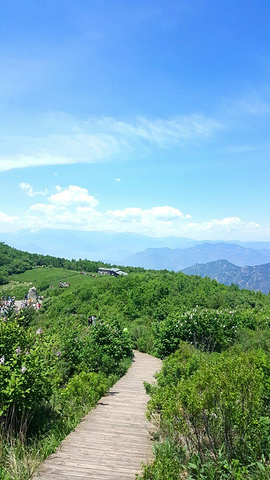 "_野三坡百草畔景区"的评论图片