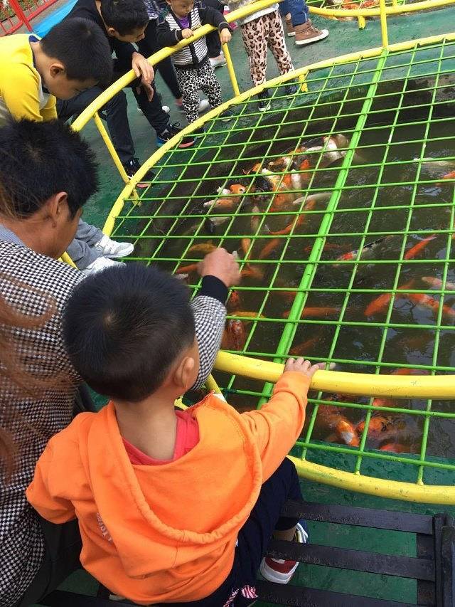 金斗湾水乡度假怡乐园