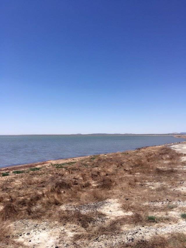 达里湖南岸景区