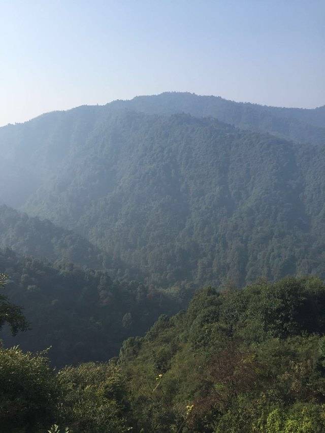 冷水尖生态风景区