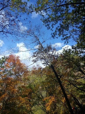 "_拉法山国家森林公园"的评论图片